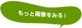 もっと画像を見る