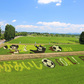 田んぼアート2014