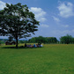 鳥見山公園内