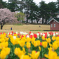 春の鳥見山公園