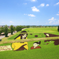 かがみいし田んぼアート2017